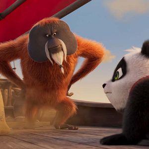 Photo Petit Panda en Afrique