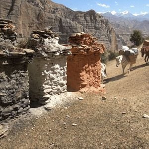 Photo L’Himalaya Sans Filtre : Sur Les Routes De Lo