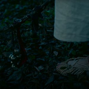 Photo Forest of Echoes