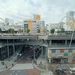 Photo Des Fleurs pour Tokyo