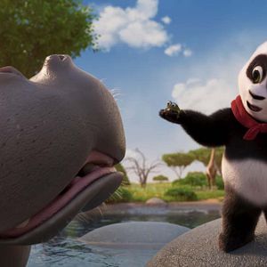 Photo Petit Panda en Afrique