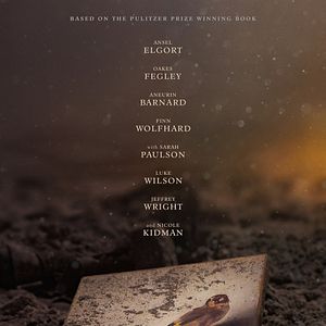 Photo Le Chardonneret