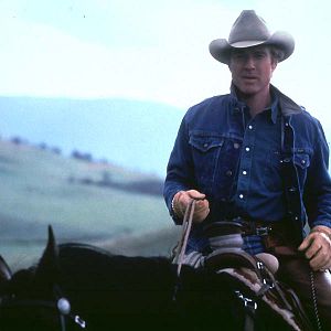Photo L'Homme qui murmurait à l'oreille des chevaux