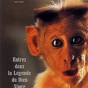 Photo Fred Fougea