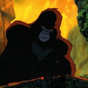 Photo Tarzan