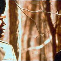 Photo Samuel L. Jackson