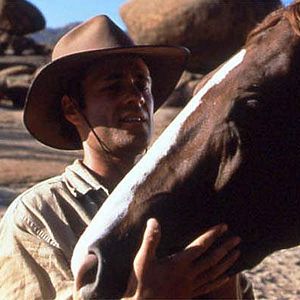 Photo Crinière au vent, une âme indomptable