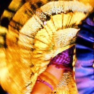 Photo Moulin Rouge !