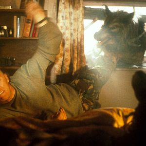 Photo Dog Soldiers