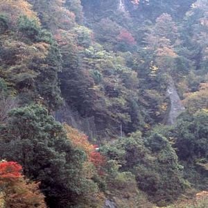 Dolls film 2002 AlloCiné