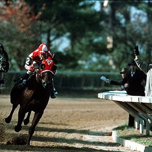 Photo Pur Sang, la légende de Seabiscuit