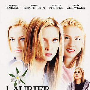 Photo Laurier blanc