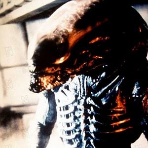 Photo Ridley Scott