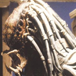 Photo Predator 2