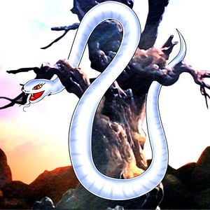 Photo Le Serpent Blanc
