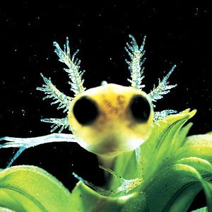 Photo Marie Pérennou