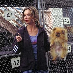 Photo Jeff Nathanson