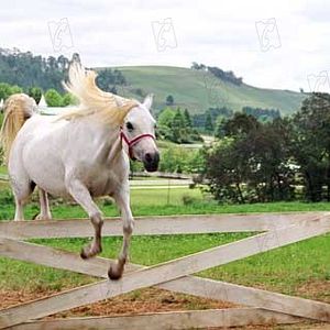 Photo Frederik Du Chau