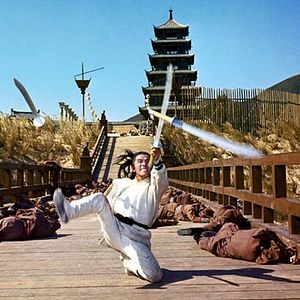 Photo La Rage du tigre