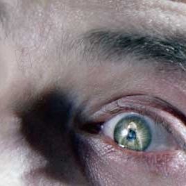 Photo Stephen T. Kay