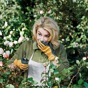 Photo Catherine Deneuve