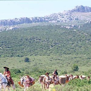 Photo Mary McGuckian