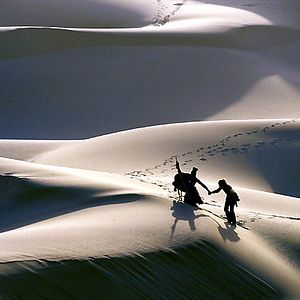 Photo Camille Summers