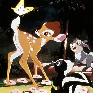 Photo Bambi