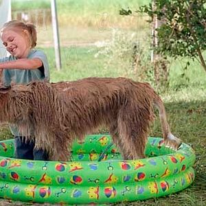 Photo AnnaSophia Robb