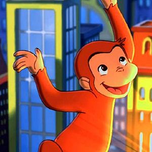 Photo Matthew O'Callaghan