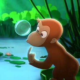 Photo Matthew O'Callaghan