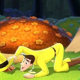 Photo Matthew O'Callaghan