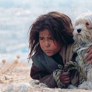 Photo Marzieh Meshkini