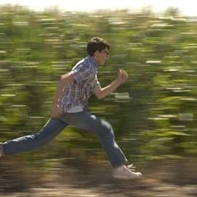 Photo Stephan Bender