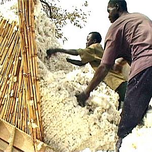 Photo Olivier Zuchuat