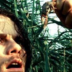 Photo Wim Vandekeybus