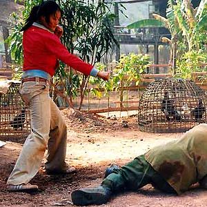 Photo Panna Rittikrai