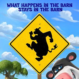 Photo Steve Oedekerk