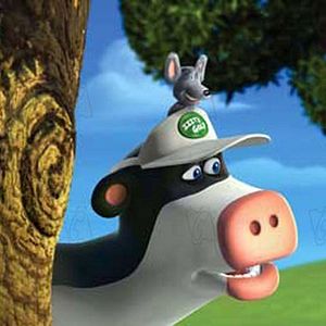 Photo Steve Oedekerk