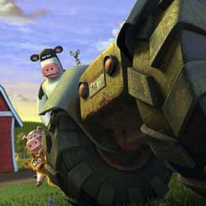 Photo Steve Oedekerk