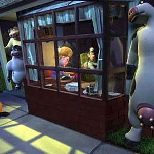 Photo Steve Oedekerk