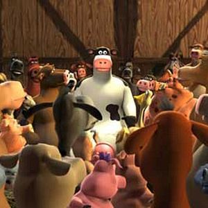 Photo Steve Oedekerk