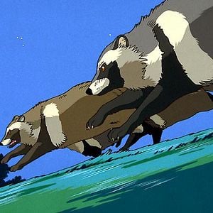Photo Pompoko