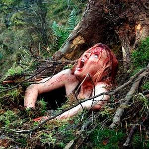 Photo Shauna Macdonald