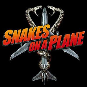 Photo Des serpents dans l'avion