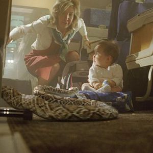 Photo Des serpents dans l'avion