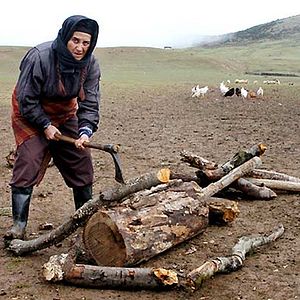 Photo Mohsen Abdolvahab