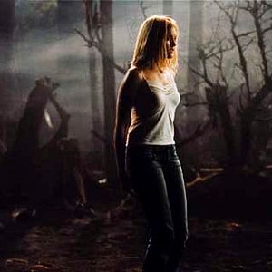 Photo Rupert Wainwright