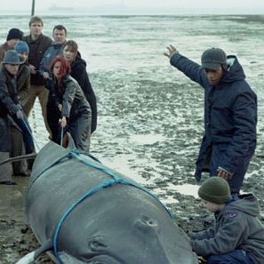 Photo La Brigade du courage