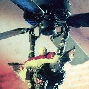 Photo Joe Dante